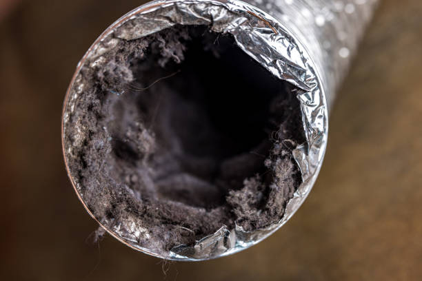 Best HVAC Air Duct Cleaning  in Indian Shores, FL